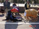 Littleton Christmas Parade 2004 050sf Hay wagon with blue ribbon.jpg