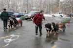 Filename=Littleton_004sf.jpg
Filesize=123KiB
Dimensions=1200x800
Date added=Nov 28, 2014 Littleton_004sf.jpg