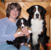 Filename=MacandWashingtonWeek6.jpg
Filesize=64KiB
Dimensions=597x581
Date added=Feb 23, 2006 MacandWashingtonWeek6.jpg