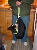 Filename=PuppyWeighIn.jpg
Filesize=84KiB
Dimensions=600x800
Date added=Mar 01, 2006 PuppyWeighIn.jpg