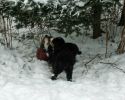 Filename=PupsInSnowDay48_8.jpg
Filesize=84KiB
Dimensions=648x515
Date added=Dec 22, 2010 PupsInSnowDay48_8.jpg
