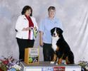 Filename=RipleyCompanionDog.jpg
Filesize=141KiB
Dimensions=1966x1563
Date added=Aug 08, 2009 RipleyCompanionDog.jpg