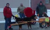 Filename=Schwartzfamilysnowplow.JPG
Filesize=54KiB
Dimensions=794x483
Date added=Dec 06, 2004 Schwartzfamilysnowplow.JPG