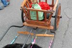 Filename=StJmarketsf_013.jpg
Filesize=109KiB
Dimensions=1200x800
Date added=Oct 11, 2014 StJmarketsf_013.jpg