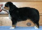Filename=SunapeeSDay35.jpg
Filesize=85KiB
Dimensions=648x469
Date added=Dec 09, 2010 SunapeeSDay35.jpg