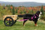 Filename=WIN_Midsize02sf.jpg
Filesize=158KiB
Dimensions=2257x1505
Date added=Oct 01, 2012 WIN_Midsize02sf.jpg
