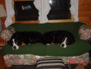 Filename=Week3-3.jpg
Filesize=71KiB
Dimensions=800x600
Date added=Jan 30, 2006 Week3-3.jpg
