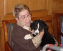 Filename=Week7PupsatRiverGlen5.jpg
Filesize=72KiB
Dimensions=741x589
Date added=Mar 01, 2006 Week7PupsatRiverGlen5.jpg