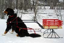 Churchill with a Small WIN cart with optional Metal Sleigh Runners