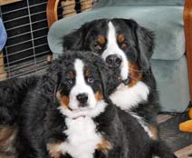 Ripley & Jefferson