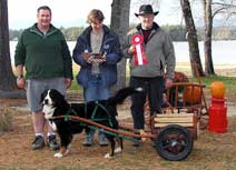 Kessie & Bill being awarded BMDCA Draft Dog title