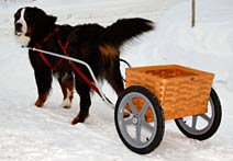 Deluxe 16 inch Training Wheel Cart With Wooden Basket