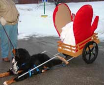 Large Basic Dog Cart
