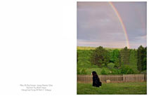 Rainbow Bridge Sympathy Card