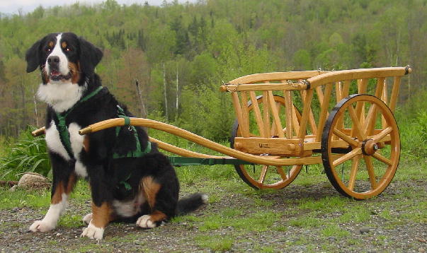 Antique Hay Cart - Natural Ash Finish
