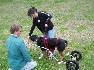 Jeff Nowak helping a Swissie at the BMDNV Draft Workshop in 2004
