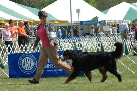 Canyon and Meg Streams 18 Months old
A Reserve Win!
