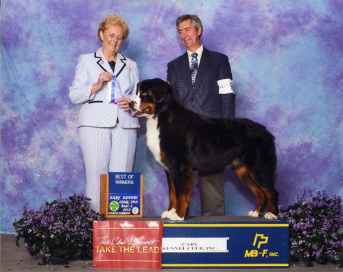 Gordie with Marty Gasper - September 2013
Just about finished with his championship!
