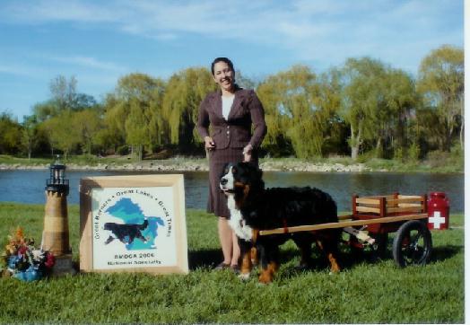 Adriana Chefan and CH Great Lakes Guiness Stout
Guiness trying out his new cart at the National
