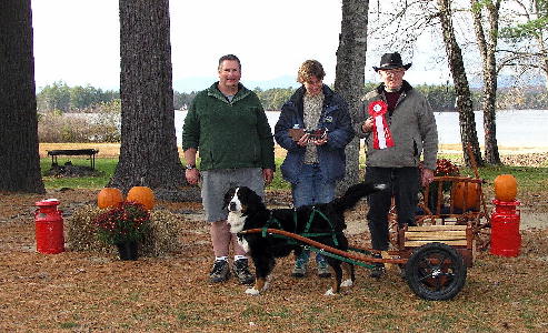 Bill and Kessie Draft Dog Award
Camp Marist, Ossippee, NH - October 22, 2006
