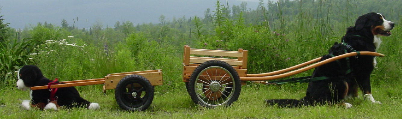 Munchkin Cart and Deluxe Competition Cart Size Comparison
