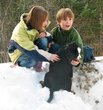 Tenney with Reagan and Nate (Davis Grandchildren).
