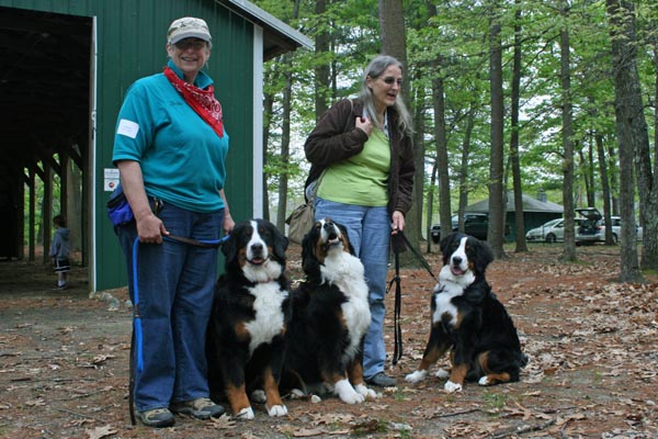 Ripley, Kessie and Attie
Mother, Grandmother and Daughter
BMDCNV Fun Day 052211
