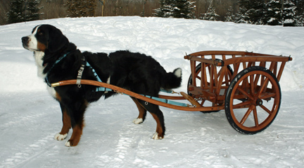 Deluxe Hay Cart
Rubber Rimmed Wooden Wheels with Bent Wooden Shafts
