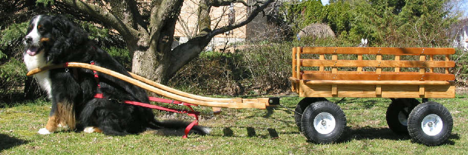 Snowden with Standard Basic Red Oak with Mahogany Slats Wagon
