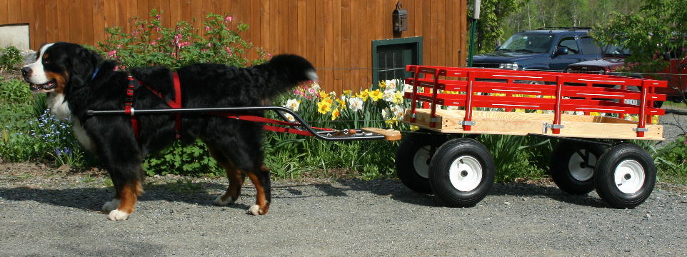 WIN 2448 Wagon
WIN2448WAGON with Aluminum Shafts
