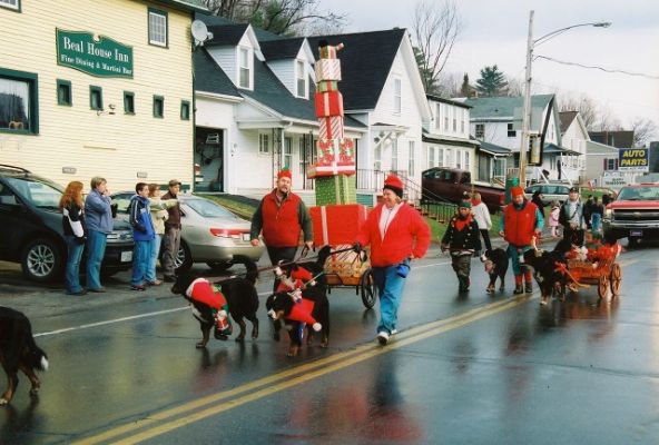 Here come the Berners
