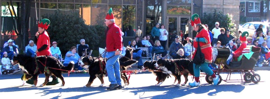 Reindeer in Training with Elves
Tonka, Rowdy, Mac, Rufous and Kessie with Meg and Bob Schwartz, Barbie Beck-Wilczek, and Rudi in Sleigh
