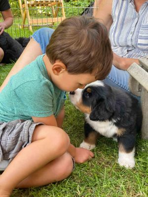 Our Professional Puppy Handlers - The Brown Family 
