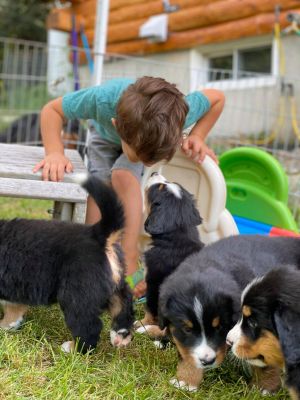 Our Professional Puppy Handlers - The Brown Family
