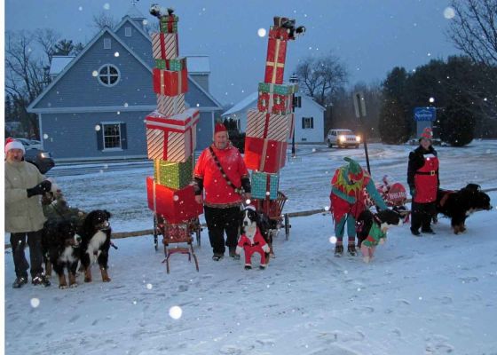 The Draft Teams
Jon Cons with Laser and Trigger.
Bill Wilczek with Kessie.
Barbie Beck-Wilczek with Balsam.
Lynn Jones with Bentley and Molly.
