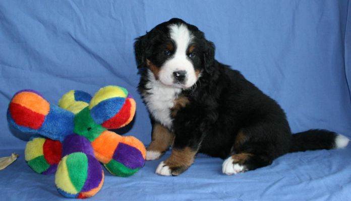 Ripley - Day 36 - 9.4 Pounds
