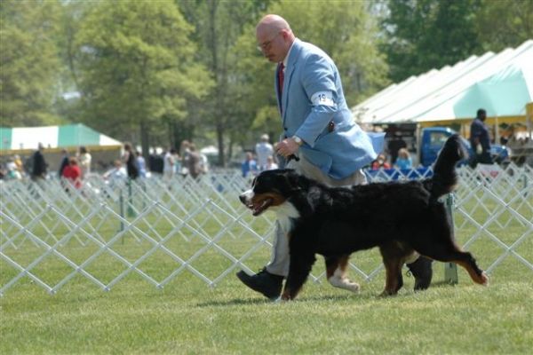 Diesel and Jack Secrest almost 18 Months Old
Final Win for Championship!
