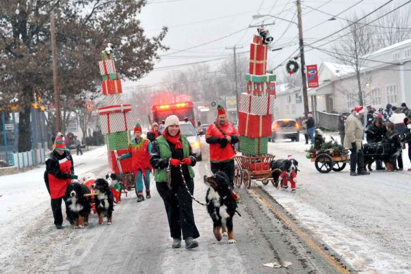 Parade Fun!
Lynn Jones with Bentley & Molly and Melissa George with Brighton
