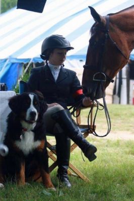 Lucky Boy Jackson
He gets to go to dog shows to cheer on his human, Angela.
