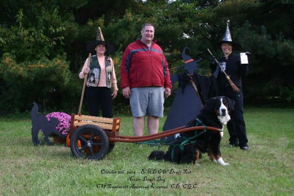 Bill and Kessie Novice Draft Dog Award
Watchung BMDC Test - Bethlehem, PA - October 7, 2006
