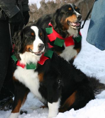 Crawford and Abby from the Notchland Inn
