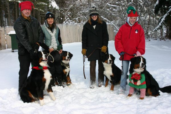 Tennescott Notch Puppies
Crawford, Pippi, Maggie, and Jefferson
