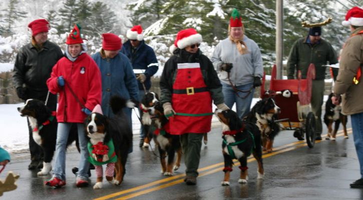 Parade Participants Following Sleigh
