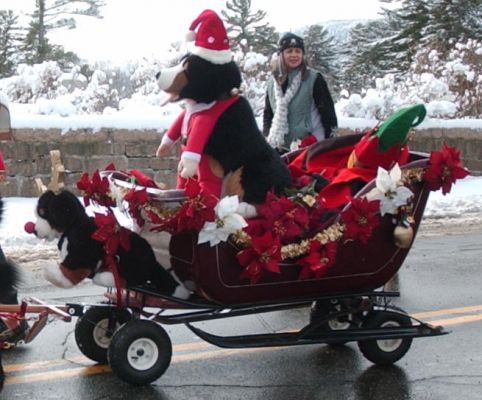 Sleigh with Sleeping Elf
Logan Samuels, warm and safe in Santa's sleigh, fell asleep as the parade started and did not wake up until it ended.  Do you suppose he was dreaming of sugar plums....
