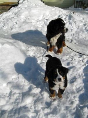 Liesl with Rudi.
