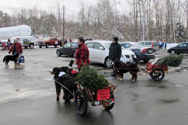 Lynn Jones and Buffy Bell
The trees were loaned from the Rocks Estate where we raise awareness of the Trees For Troops program.
