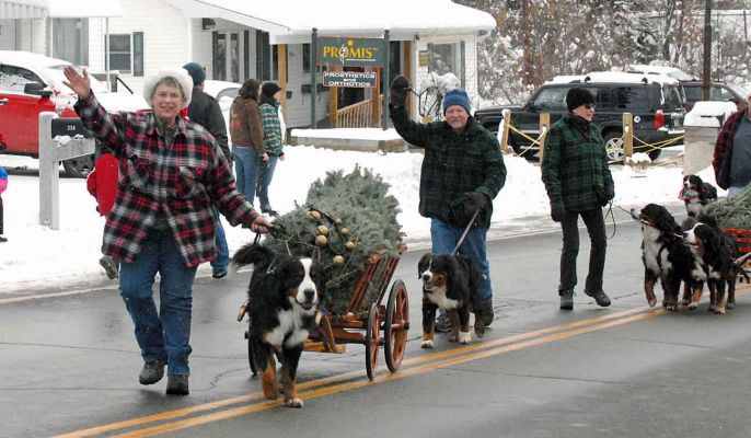 Littleton Christmas Parade 2104
Barbie with Laukie, Dan with Dalton, Buffy with Mac and Moriah.
Photo by Lloyd Jones.
