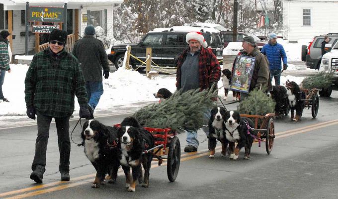 Littleton Christmas Parade 2104
Buffy with Mac and Moriah, Bill with Ripley and Balsam, Cory, Bentley and Molly.  In the back is Steve Kramer and Saco Bear who joined us during the parade.
Photo by Lloyd Jones.
