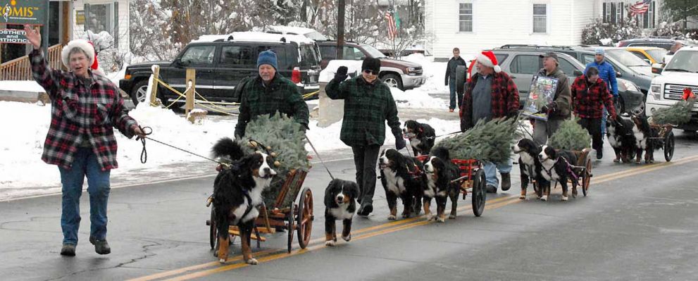 Littleton Christmas Parade 2104
Barbie with Laukie, Dan with Dalton, Buffy with Mac and Moriah, Bil with Ripley and Balsam, Cory, Lynn with Bentley and Molly.
Photo by Lloyd Jones.
