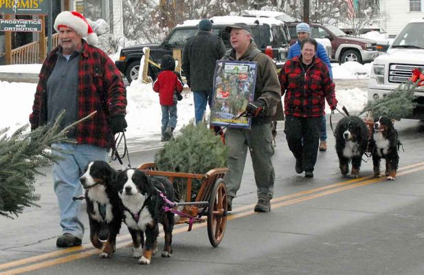 Littleton Christmas Parade 2104
Bill with Ripley and Balsam, Cory, Lynn with Bentley and Molly.
Photo by Lloyd Jones.
